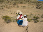 sheepherder girls, Isla del Sol, Titicaca