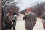 Road to Chobe, the Bald Egel