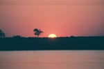 Chobe Sunset