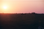 Sunset, Chobe
