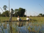 Okavango Delta