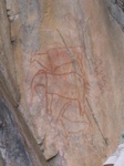 400 year old bushman art