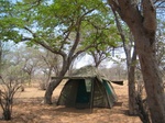 Chobe Camp