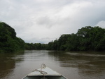 river cruise, saw toucans, howler monkey, and caimans