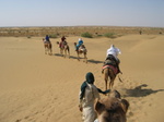 Camel Safari, Rajastahn
