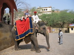 Elephant Ride to Jaipur Palace
