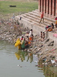 Bathing near Jaipur Palace