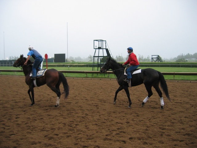 Day before Derby at Keenland Racetrack