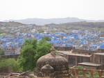 Indigo Homes of the Brahmins', from Mehrangarh, Jodhpur, India