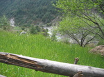 on the way back to Lukla, wheat