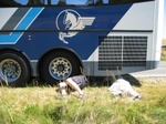 not bus mechanics . . but they stayed at a Holiday Inn