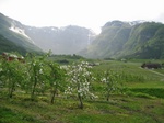 Ullensvang, Hardaiger Fjord