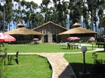 Lodge in Rwanda
