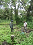 Foundation of Dian Fossey's house