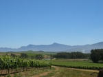 Wine Country, S. Africa