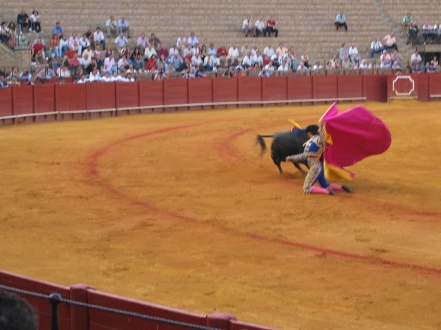 More bullfighting