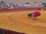More bullfighting