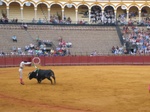 2nd oldest bullfighting ring in Spain