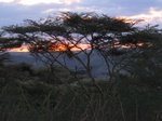 Camp Acacia, Masai Country