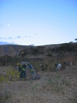 Camp Acacia