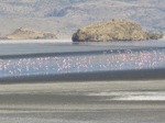 Lake Natron