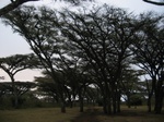 Ngorogoro Camp