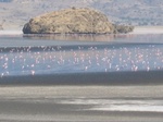 Lake Natron