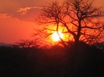 Ruaha Sunset