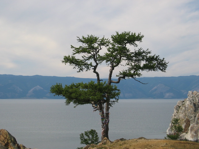 Baikal